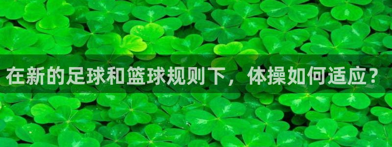 球王會(huì)體育